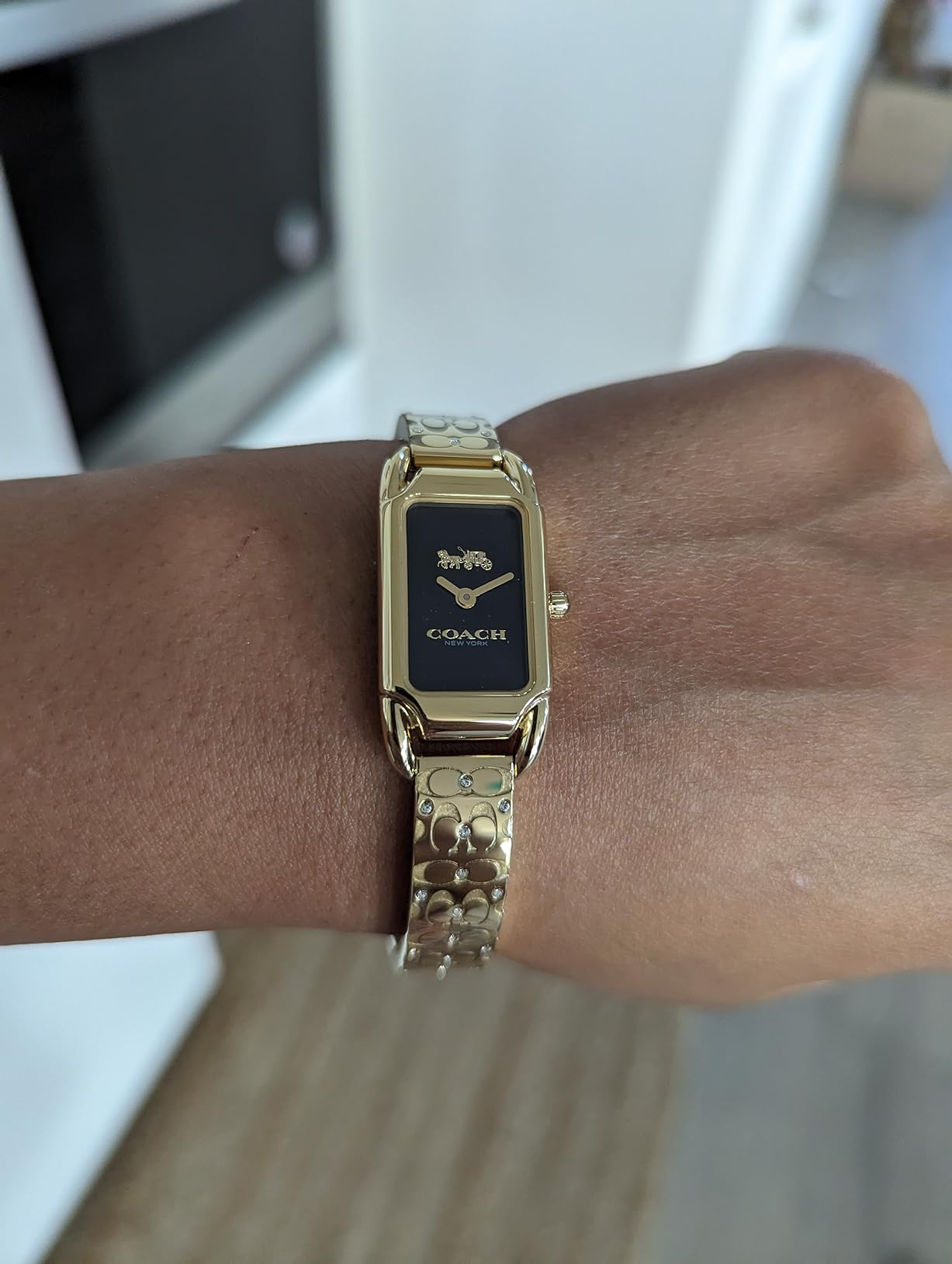 reviewer wearing the ticker  with a golden  ticker  face