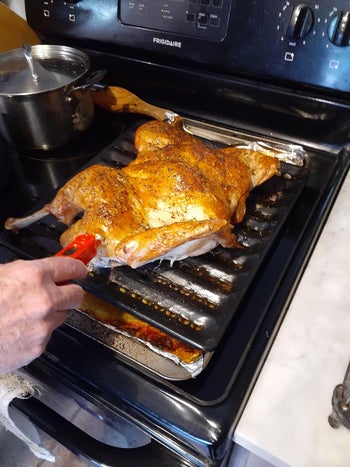 a reviewer using the thermometer in chicken
