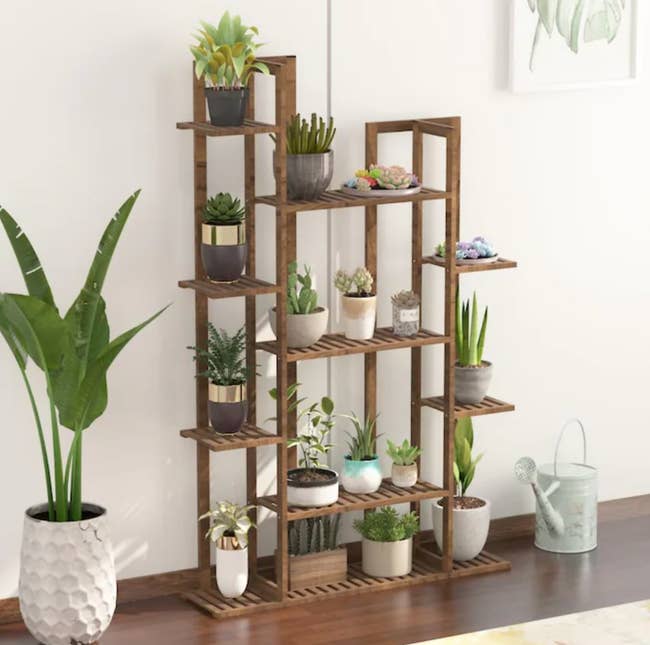 plant stand styled with multiple plants of various sizes