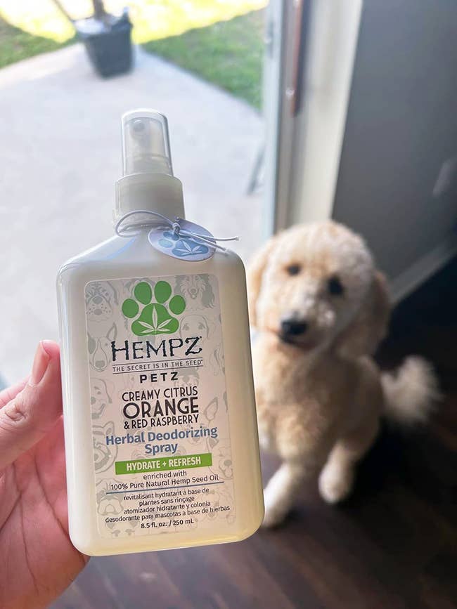 hand holding the deodorizing spray
