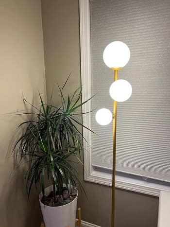 Another review's floor lamp with three spherical lights beside an indoor potted plant 