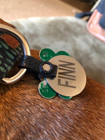 reviewer photo of the holder attached to two dog tags