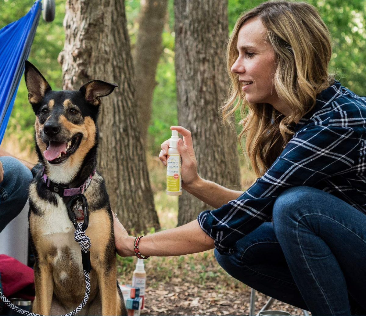 Model spraying the solution on a dog