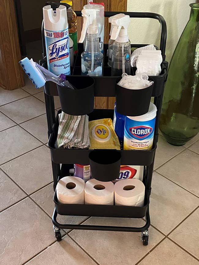 Reviewer's cart holds household cleaning supplies