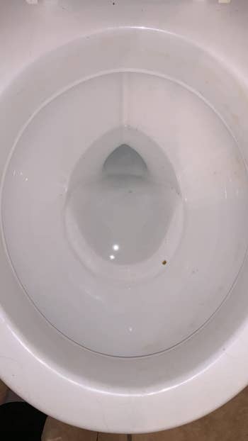 a clean toilet bowl