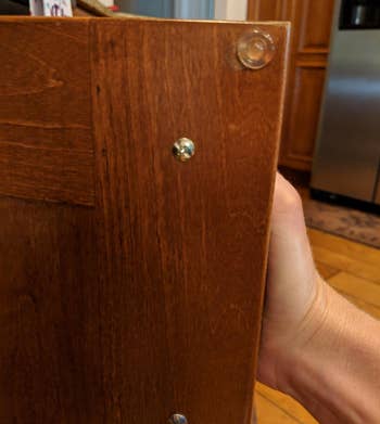 reviewer showing clear round bumper on inside of cabinet door