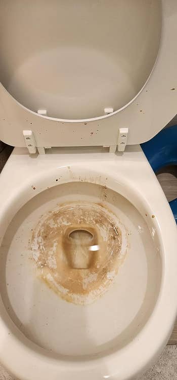 a reviewer's dirty toilet bowl covered in brown stains