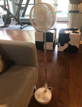 same fan extended upward to sit on the floor 