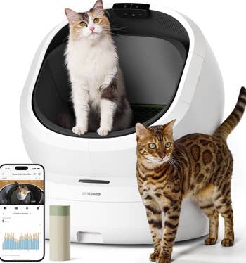 Two cats interact with a self-cleaning litter box. A smartphone and tiny gadget suggest smart tech features. Ideal for pet-shopping enthusiasts
