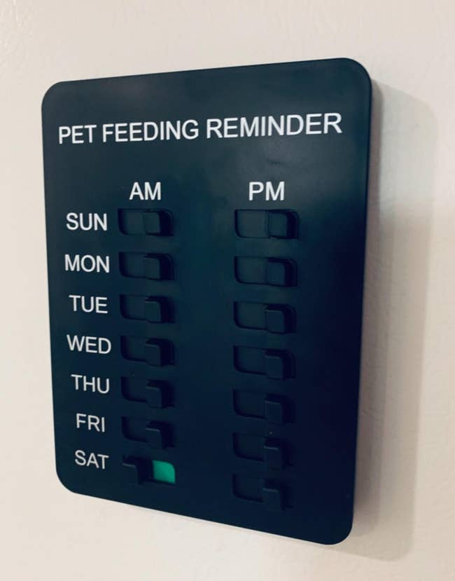Pet feeding reminder committee with toggles for AM and PM each time of the week. Saturday's PM toggle is green