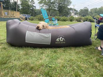 Reviewer image of gray inflatable couch on grass with dog laying on top