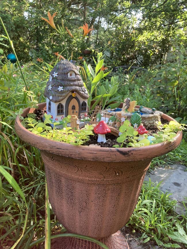 Post image 6