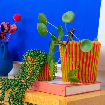 Two colorful potted plants connected  a woody  table, with 1  trailing implicit    a closed book. A bluish  vase with pom-pom flowers is successful  the background