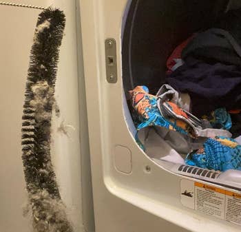 Lint buildup successful a dryer vent adjacent to laundry essentials, highlighting a imaginable occurrence hazard successful location appliances