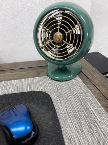 The same fan in blue 