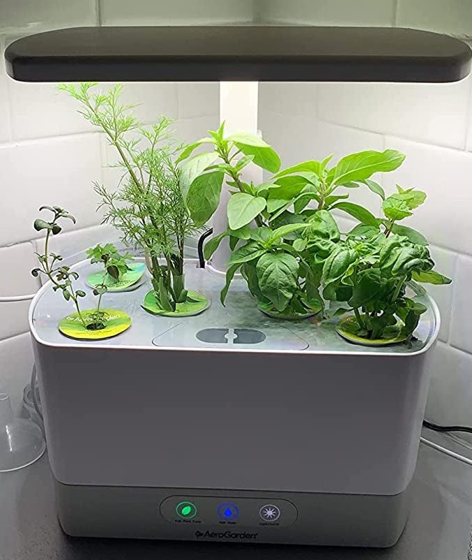 reviewer photo of the aerogarden on a kitchen counter