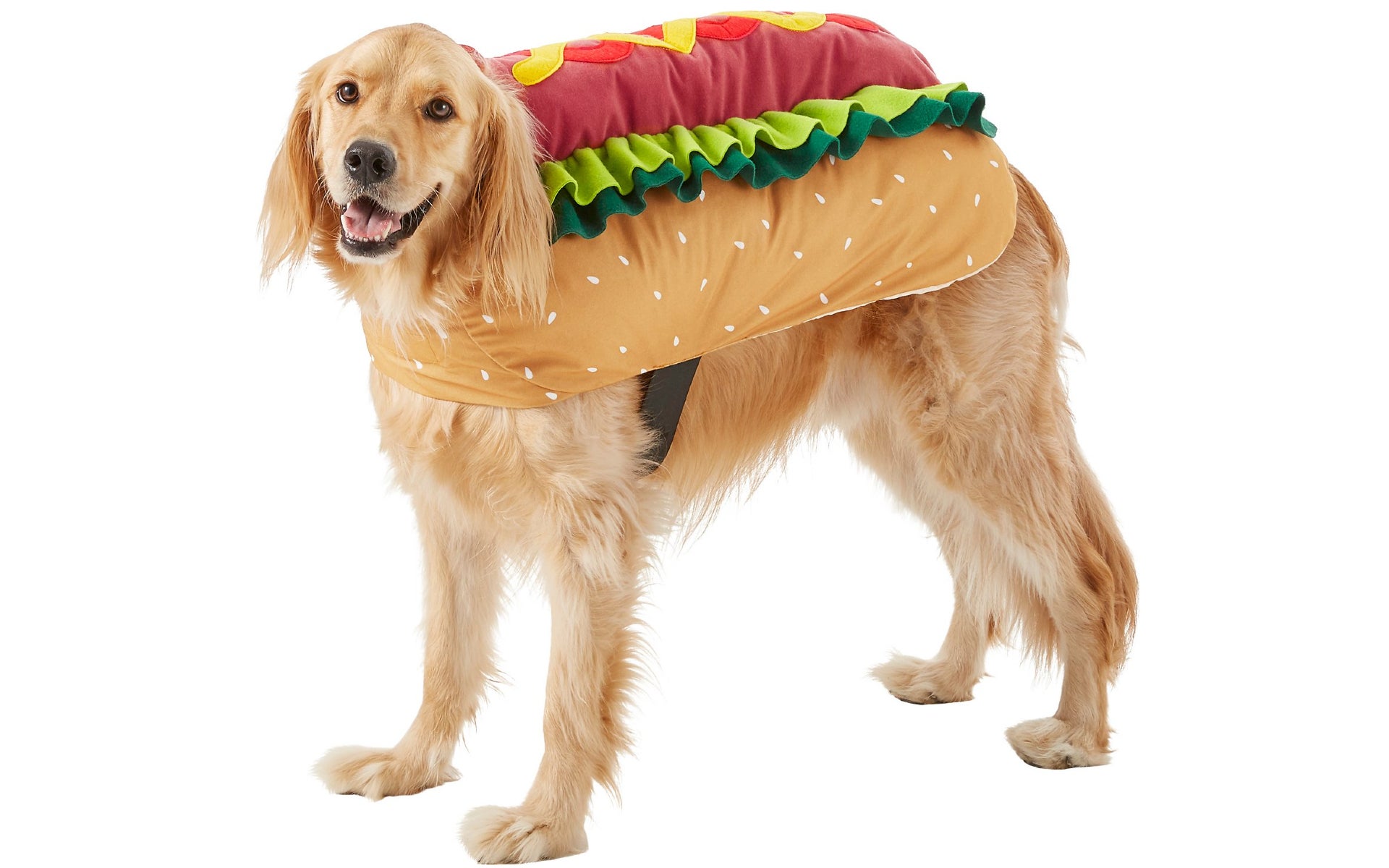 Dog in hotdog costume