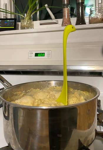 nessie ladle successful a pot