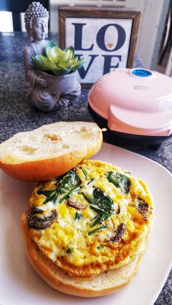 a meal  sandwich with ovum  cooked wrong  the mini maker