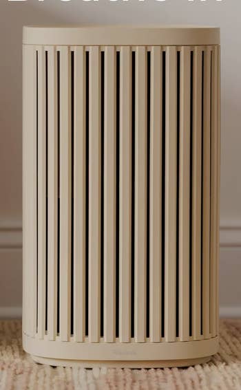 Air purifier promoting easier breathing, improved sleep, accrued energy, and healthier skin. Image for a buying article