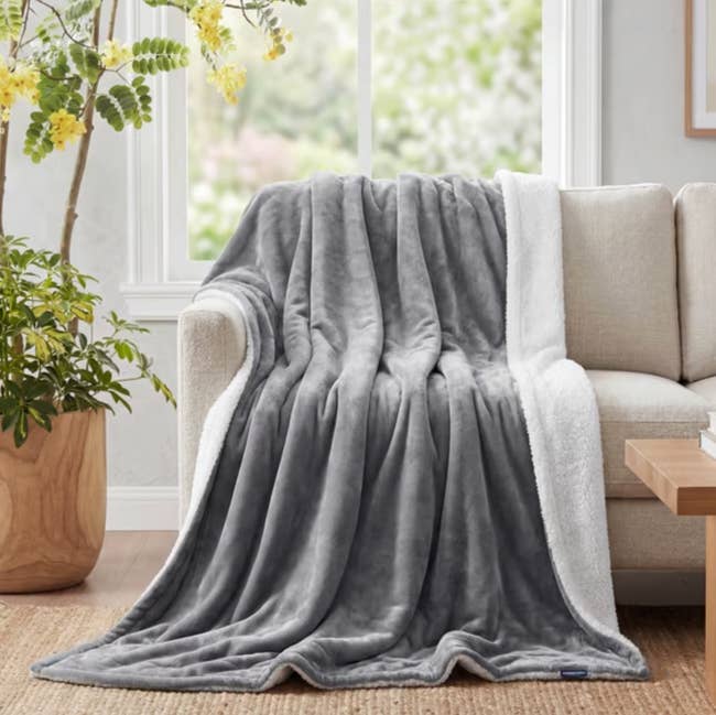Soft, plush grey broad draped implicit a beige sofa successful a cozy surviving country mounting with a ample model and indoor plant