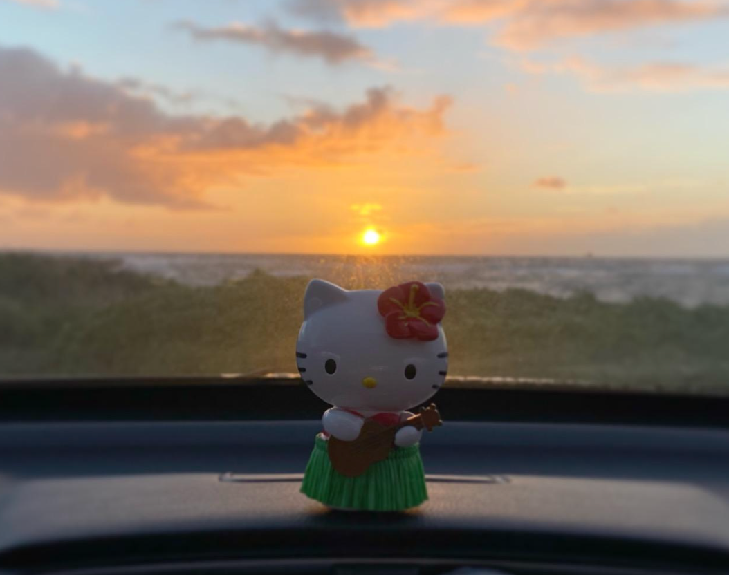 Reviewer photo of the Hello Kitty in a hula skirt dashboard ornament 