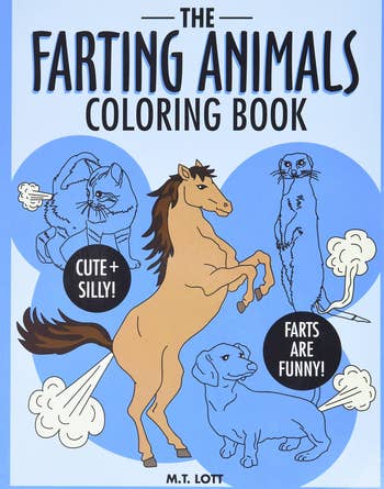 the book cover featuring a farting horse, cat, dachshund, and meerkat