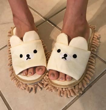 the brownish carnivore look slippers
