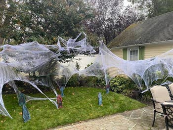 spider web stretched all around a reviewer's front yard