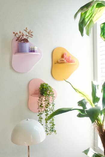 three wall shelves with plants sitting on top