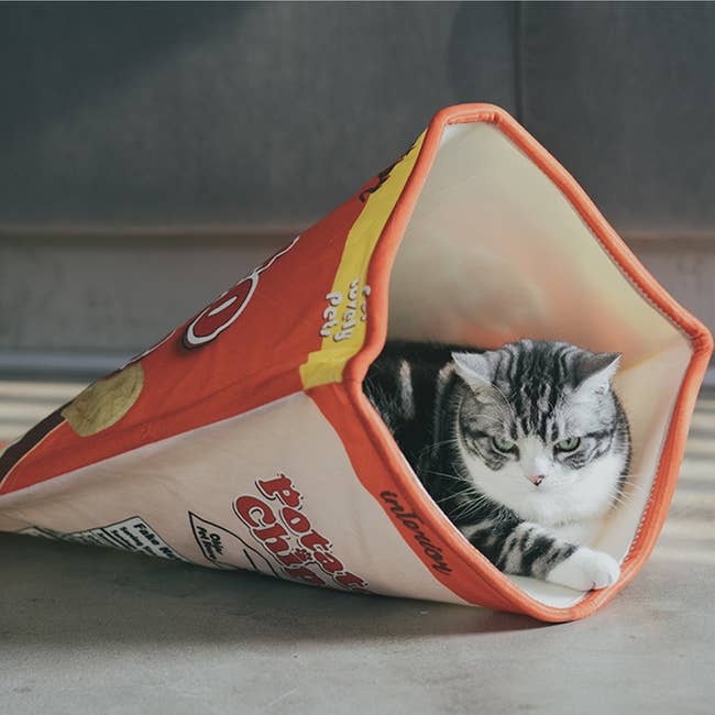 17 Best Cat Beds Your Kitty Will Love More Than You