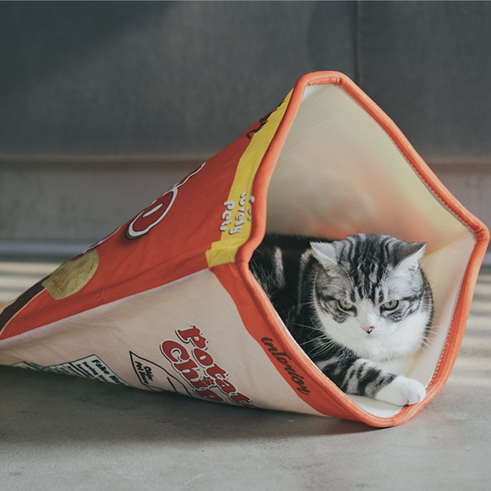 gray striped cat inside potato chip bag bed
