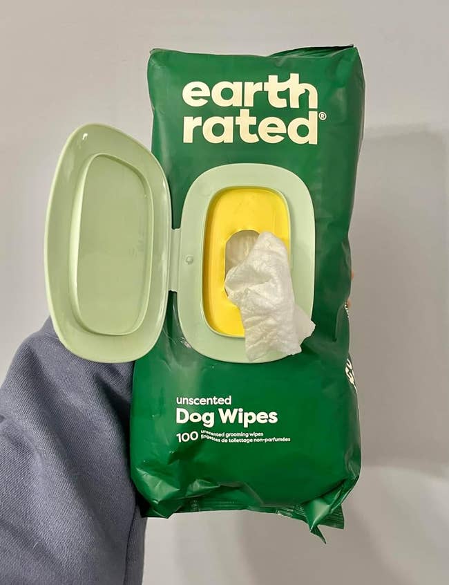 a reviewer holding the pack of wipes 