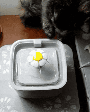 Reviewer gif of a cat playing with the water from the fountain
