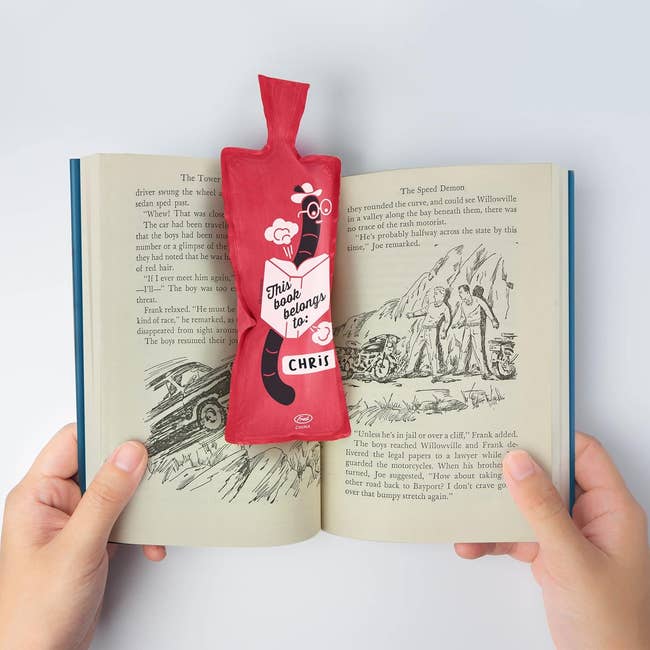 vertical whoopee cushion with a bookworm and this book belongs to: with space to write your name on it in a book