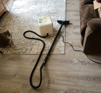 Reviewer image of white cube-shaped steam cleaner next to cat