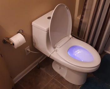 reviewer image of the toilet seat on a toilet