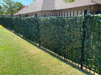 the faux ivy attached along a fence