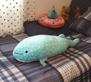The blue and white polka dot whale shark on a reviewer's bed