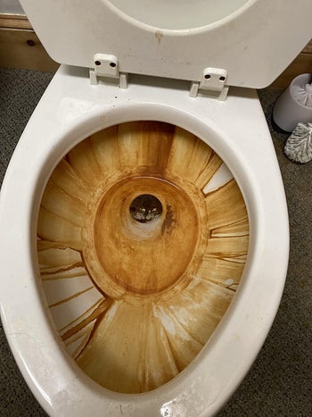 reviewers stained toilet