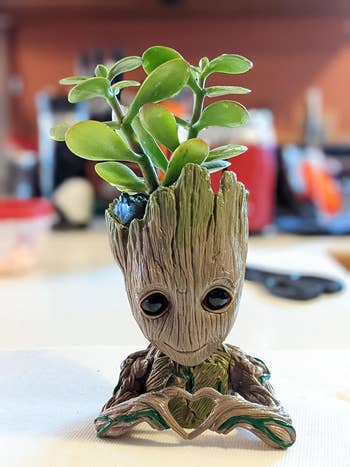 reviewer photo of a baby groot planter with a succulent sitting in the top of his 