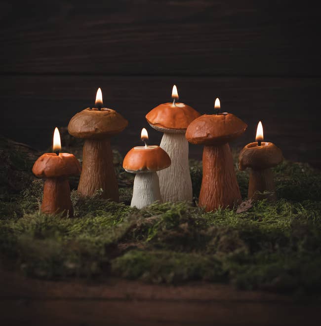 Mushroom-shaped candles are arranged connected moss, their flames lit, creating a cozy and woodland-inspired ambiance