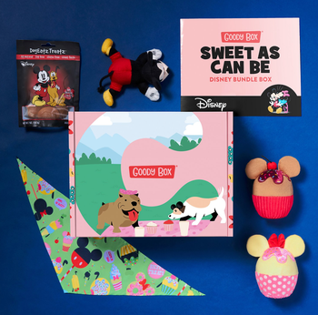 the goody box featuring two mickey toys, one minnie mouse toy, a bandana, and mickey treats
