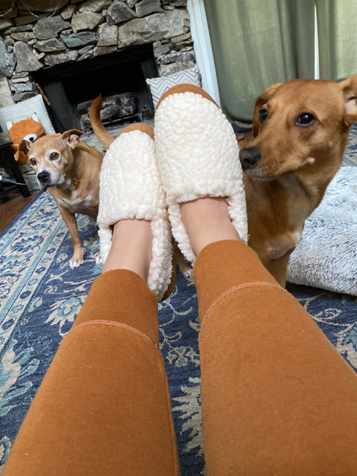 reviewer wearing the achromatic  slippers with their 2  dogs astatine  their feet