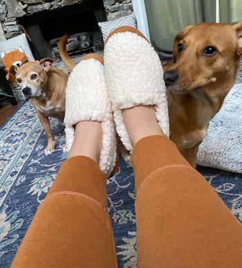 reviewer wearing the white slippers with their two dogs at their feet