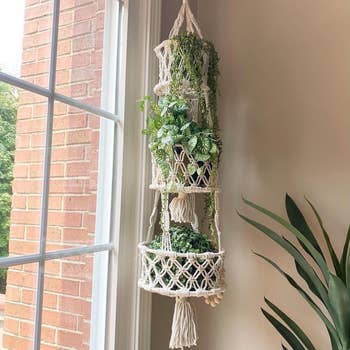 Hanging macrame plant holder with three tiers of greenery near a window, adding a natural touch to home decor