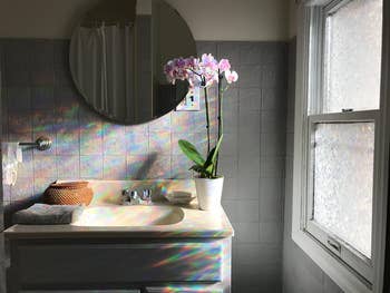 reviewer photo of the prismatic window film shining rainbows into their bathroom