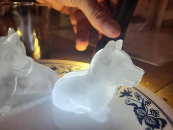 a reviewer's two corgi ice cubes