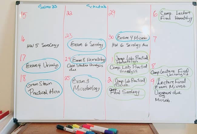 Reviewer's photo of whiteboard with writing