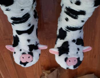cow socks on reviewer